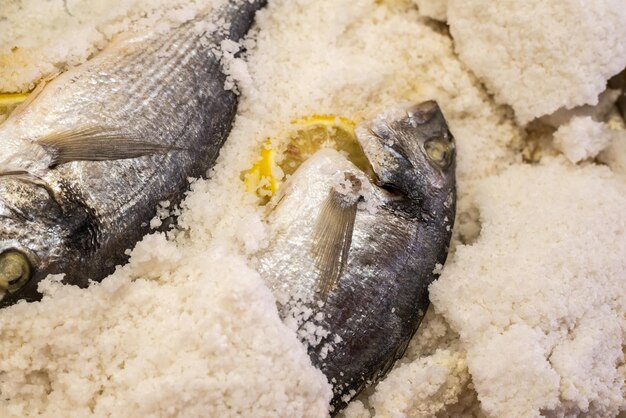 写真 浜辺の魚の高角度の景色