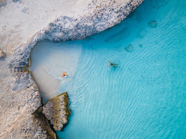 写真 海で泳いでいる魚の高角度の景色