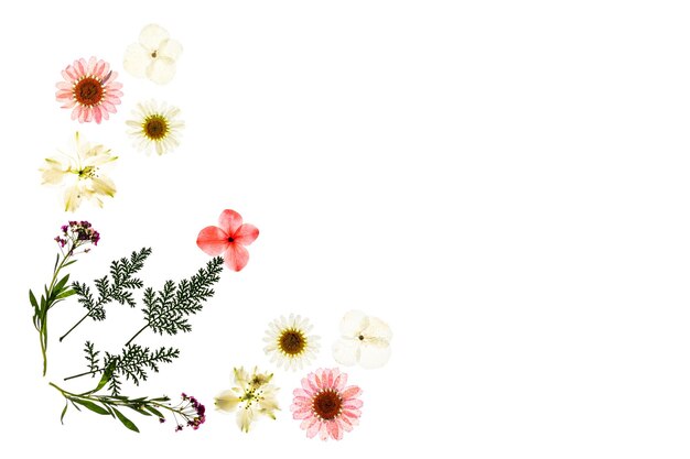 사진 ⁇  배경 에 꽃 을 피우는 식물 의 높은 각도 의 모습