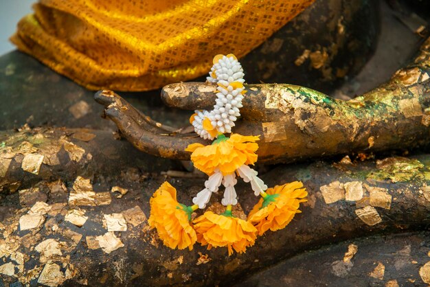 写真 花の高角度の眺め