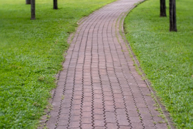 写真 公園の歩道の高角度の景色