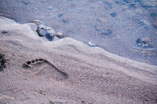 Фото Высокоугольный вид следов на пляже