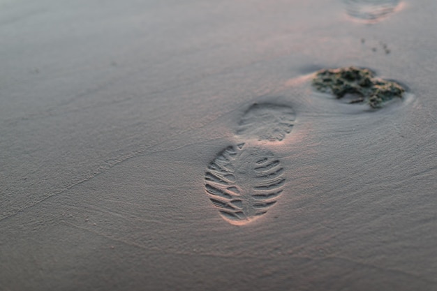 Фото Высокоугольный вид следов на песке на пляже
