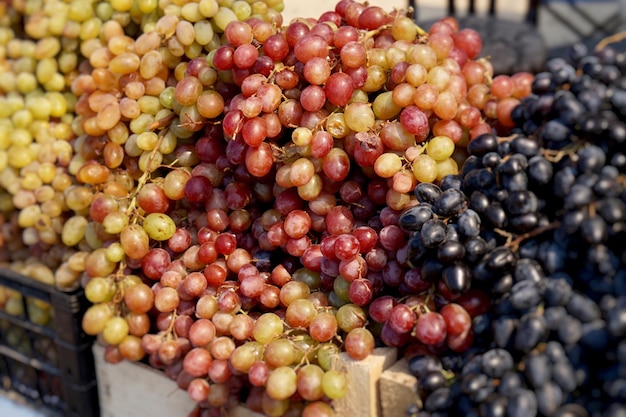 Фото Высокоугольный вид винограда для продажи на рынке