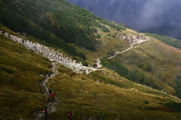 写真 空に照らされた緑の景色の高角度の景色