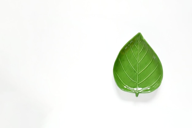 写真 白い背景上の緑の葉の高角度のビュー
