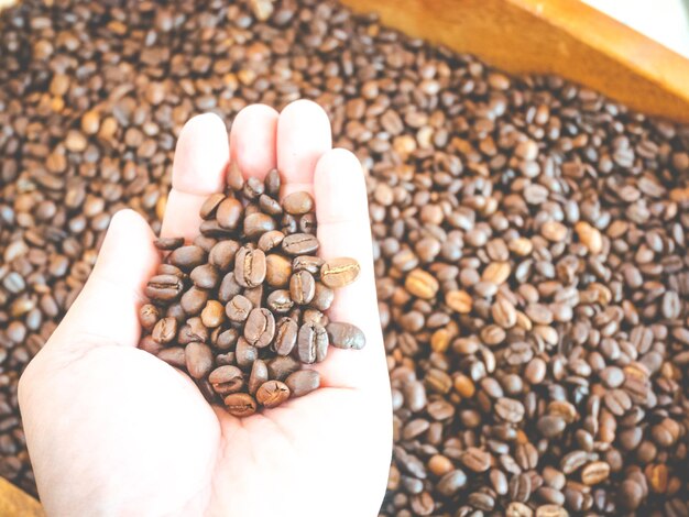 Фото Высокоугольный вид кофейных зерен в руках