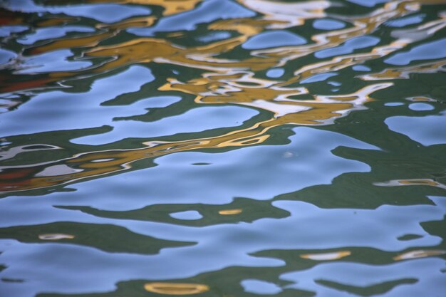 写真 水面に浮かぶ葉の高角度の眺め