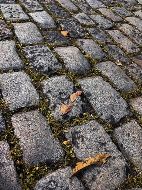 写真 舗装された歩道の葉の高角度の景色