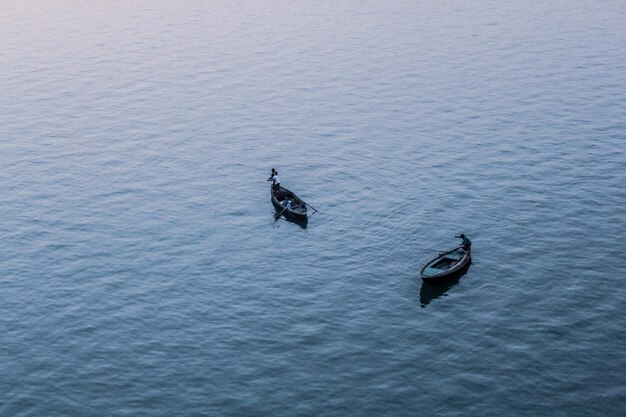 写真 海中の人々の高角度の写真