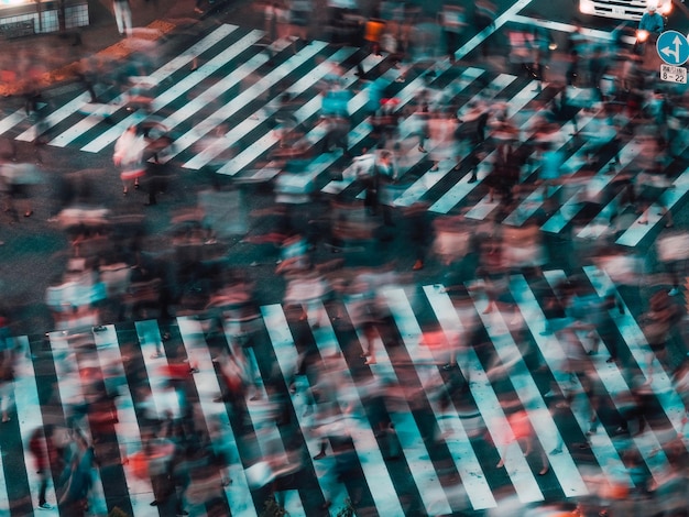사진 제브라 교차로 를 고 있는 사람 들 의 높은 각도 광경