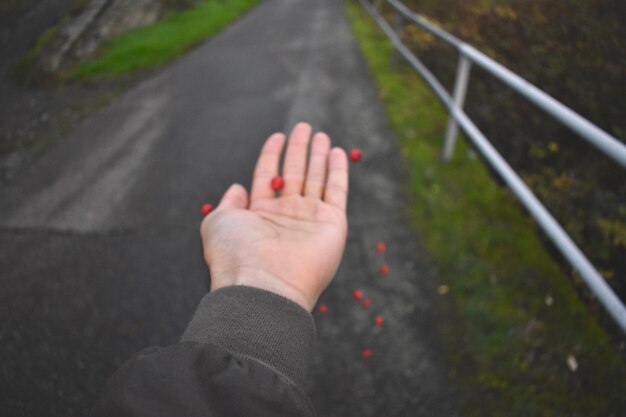 写真 道路上の人の手の高角度の視点