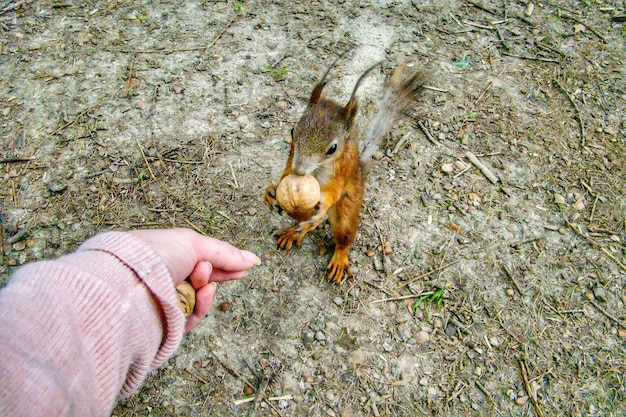 写真 人の手の高角度の視界