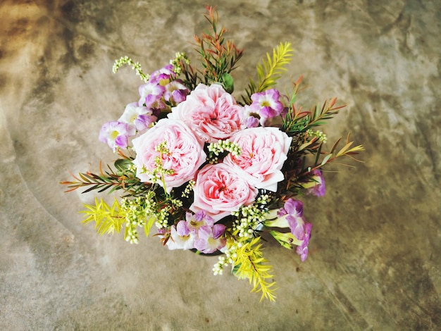 写真 ピンクの花がく植物の高角度の眺め