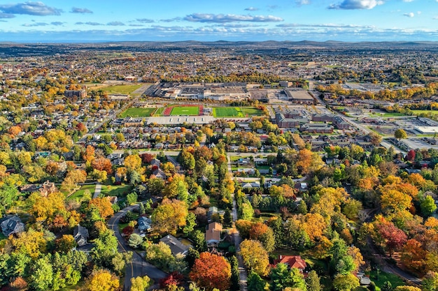 写真 空に照らされた都市の植物の高角度の景色