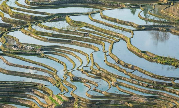 写真 米畑の高角度の景色