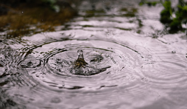 写真 波動する水の高角度の景色