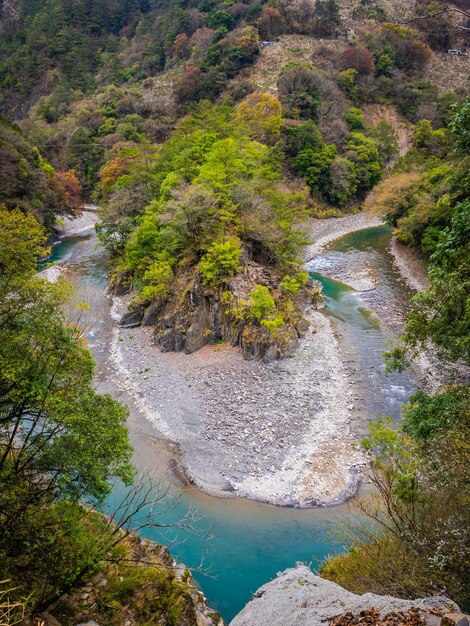 写真 森の木の中の川の高角度の景色