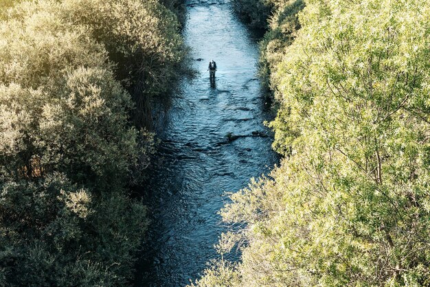 写真 樹木の中の川の高角度の景色