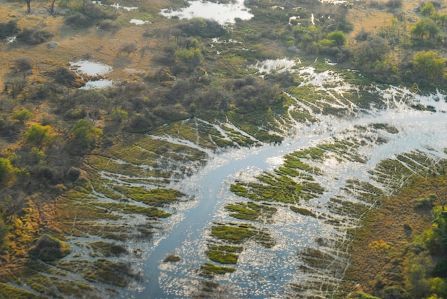 写真 樹木から見た川の高角度の景色