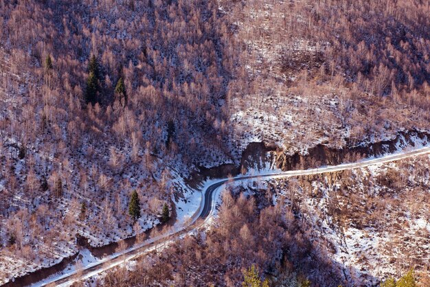 写真 樹木の中の道路の高角度の景色