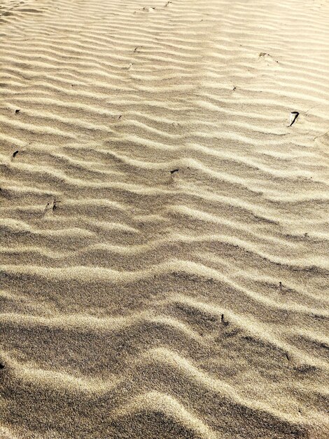 写真 砂浜の高角度の景色