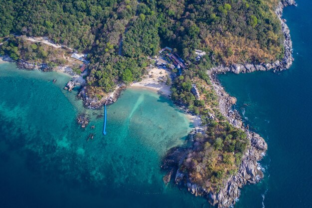 Фото Высокоугольный вид на море и деревья