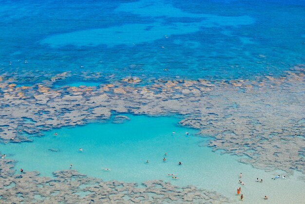 写真 海の高角度の景色