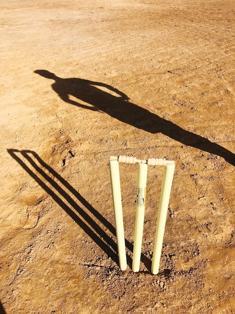 写真 砂上の影の高角度の視点