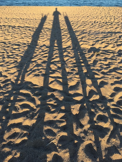 Фото Высокоугольный вид тени на песке