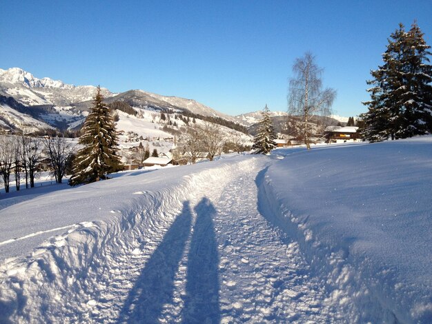 写真 空に照らされた山によって雪に覆われたフィールドの高角度のビュー