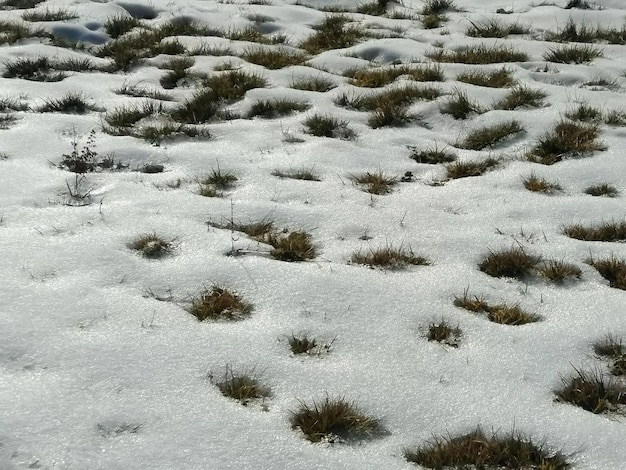 Фото Высокоугольный вид покрытого снегом поля