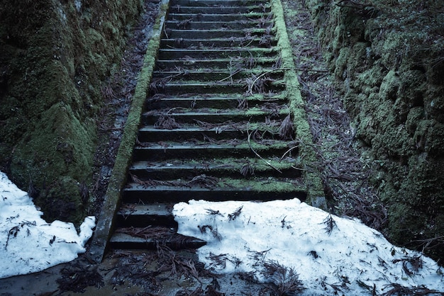 写真 冬の地上での雪の高角度の景色