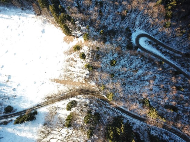 写真 樹木の中の曲がりくねった道路の雪の高角度の景色