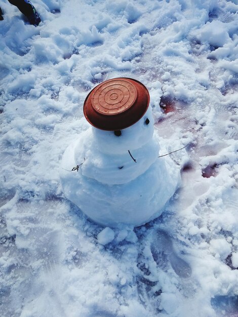 写真 野原での雪だるまの高角度の眺め