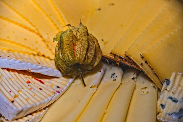 写真 スパイダーの高角度の視点