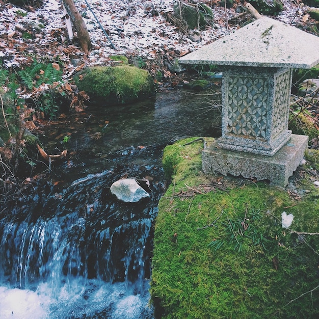 写真 日本庭園の小川の高角度の景色