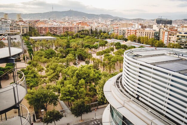 写真 空に照らされた建物の中の街の高角度の景色