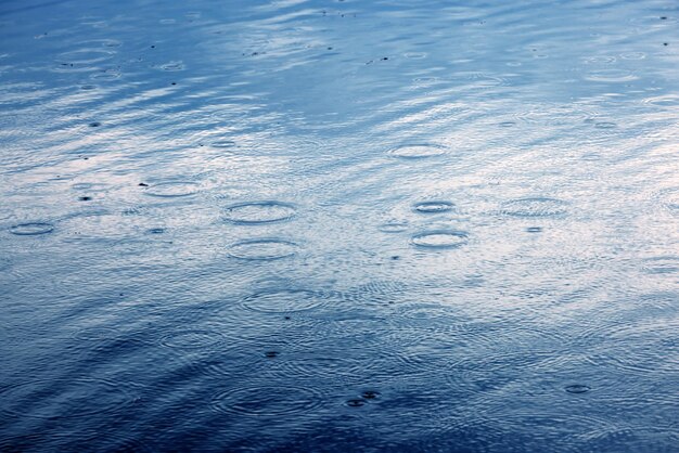 写真 プールでの水泳の高角度の景色