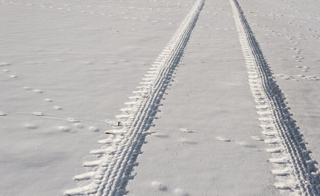 写真 雪上のタイヤの痕跡の高角度の視界