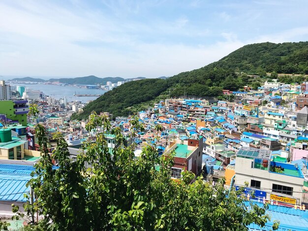 사진 하늘을 배경으로 도시 풍경의 높은 각도 시각