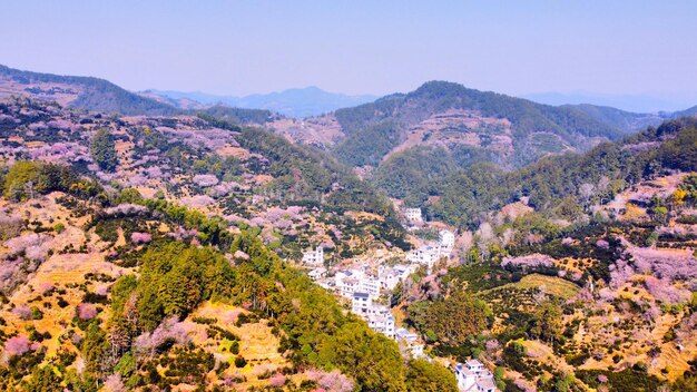 写真 天空を背景に木や山の高角度の景色