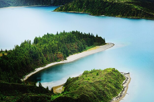 写真 空に照らされた湖の木の高角度の景色