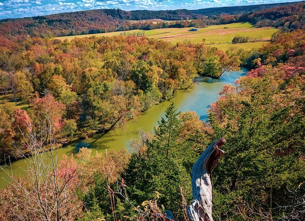 写真 秋の湖の木の高角度の景色