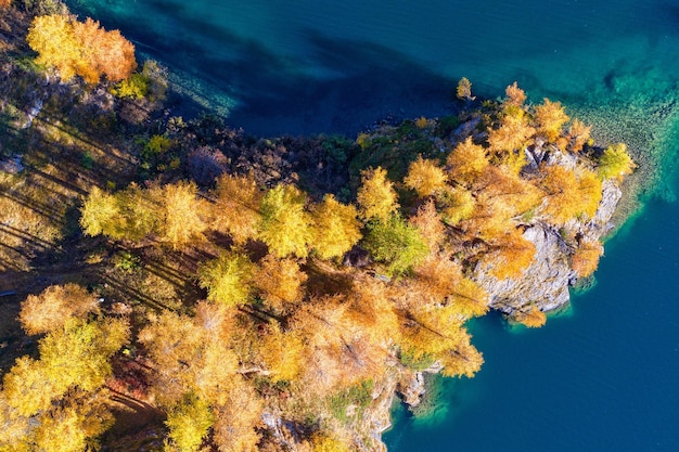 사진 가을 에 바다 에서 나무 들 을 높은 각도 에서 볼 수 있다