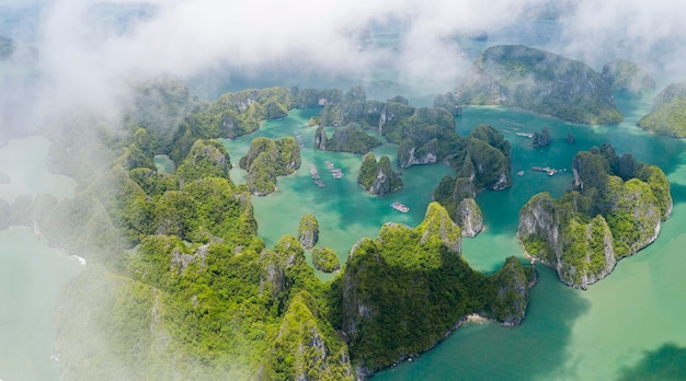 写真 海から見た木の高角度の景色