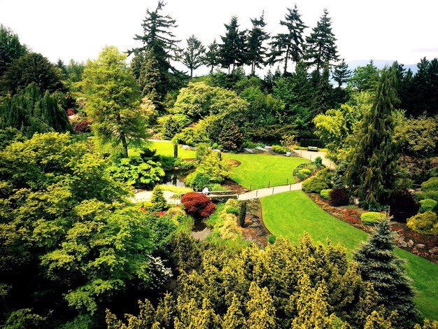 写真 公園の木の高角度の景色