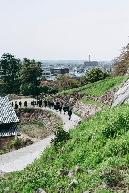 사진 은 하늘을 배경으로 들판에 있는 나무들의 높은 각도 시각