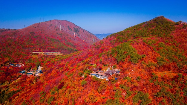 写真 秋の山の樹木の高角度の景色