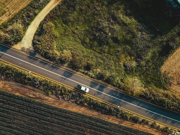 写真 道路上の木の高角度の景色